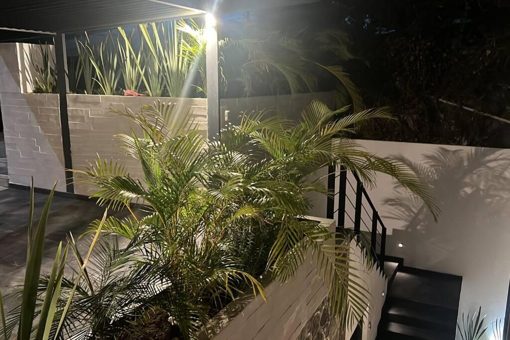 Residencia Corinto La Cima Frac Burgos Bugambilias Villa Temixco Kültér fotó